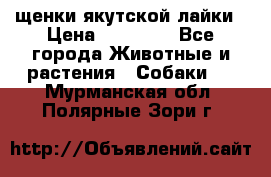 щенки якутской лайки › Цена ­ 15 000 - Все города Животные и растения » Собаки   . Мурманская обл.,Полярные Зори г.